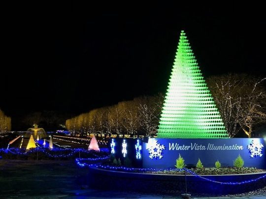 国営昭和記念公園 シャンパンツリー クリスマスデートスポット イルミネーション