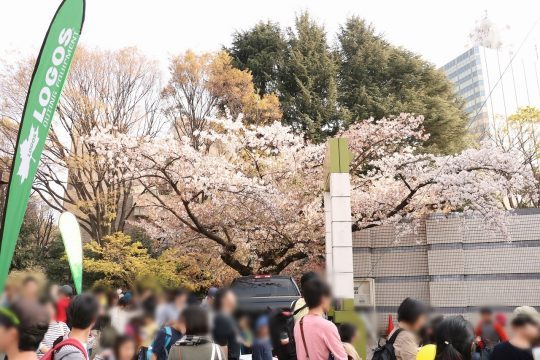 アウトドアデイジャパン2019東京