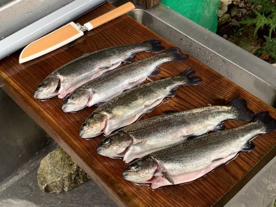 ニジマス塩焼き調理下ごしらえ うらたんざわ渓流場